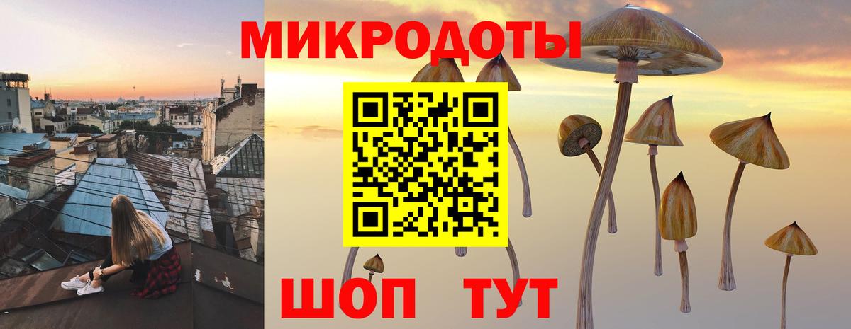 Галлюциногенные грибы Psilocybine cubensis  Вход с VPN  Серов 